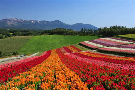 what to do in hokkaido.
